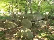 Hünengrab Steinkimmen © Gemeinde Ganderkesee